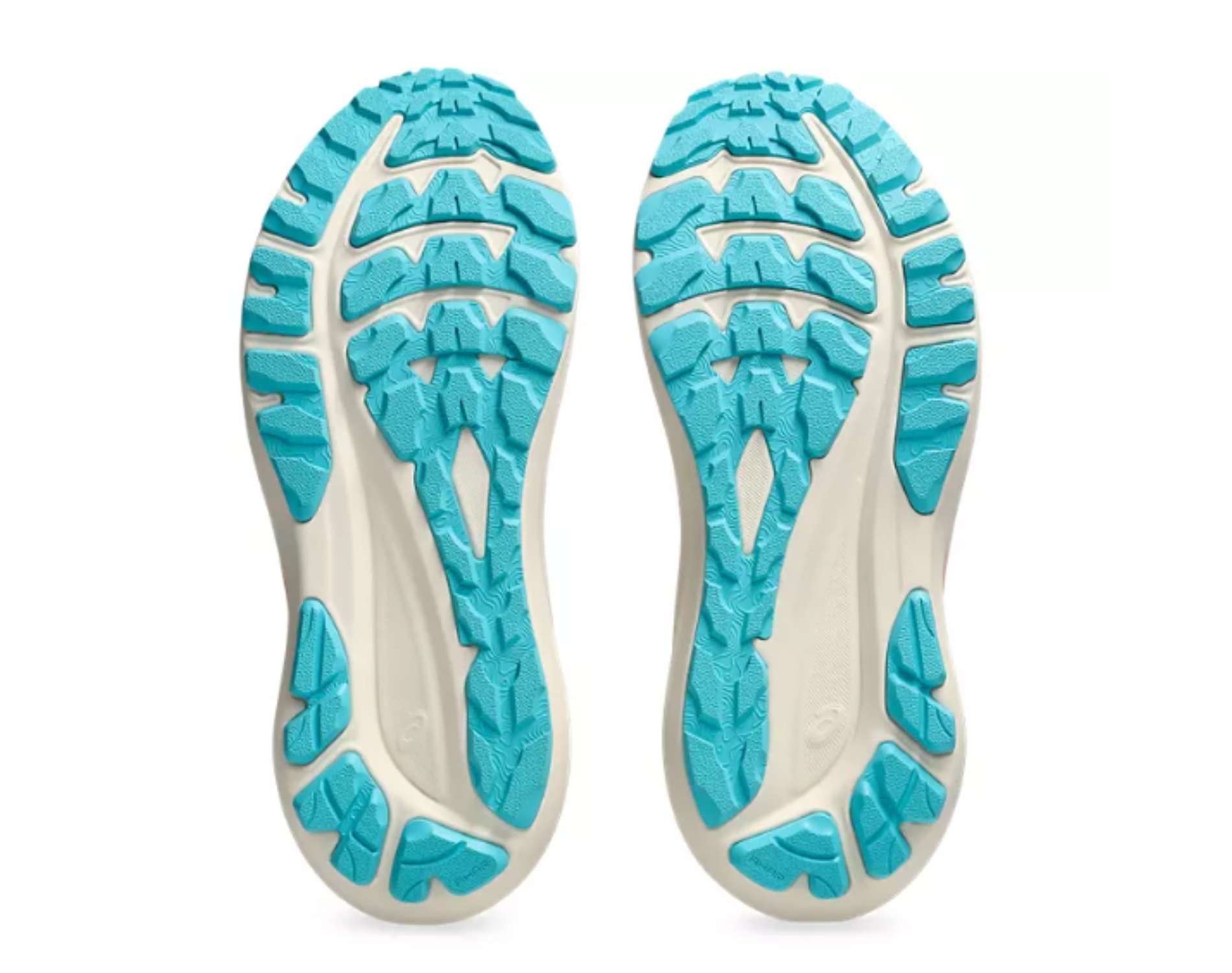 Scarpe da trail running da donna Asics GT-2000 13 TR