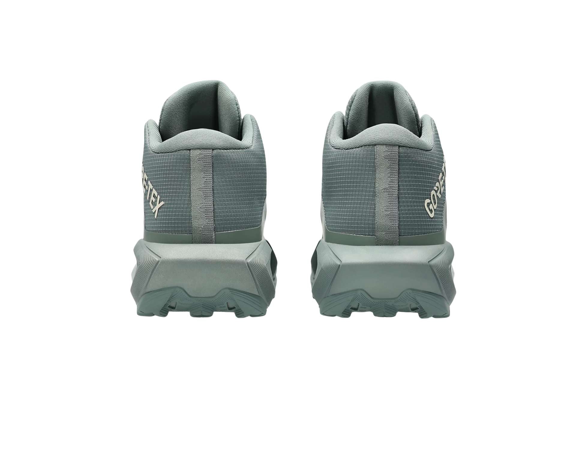 Chaussures de trail pour femme Asics GEL-Trabuco MT GTX