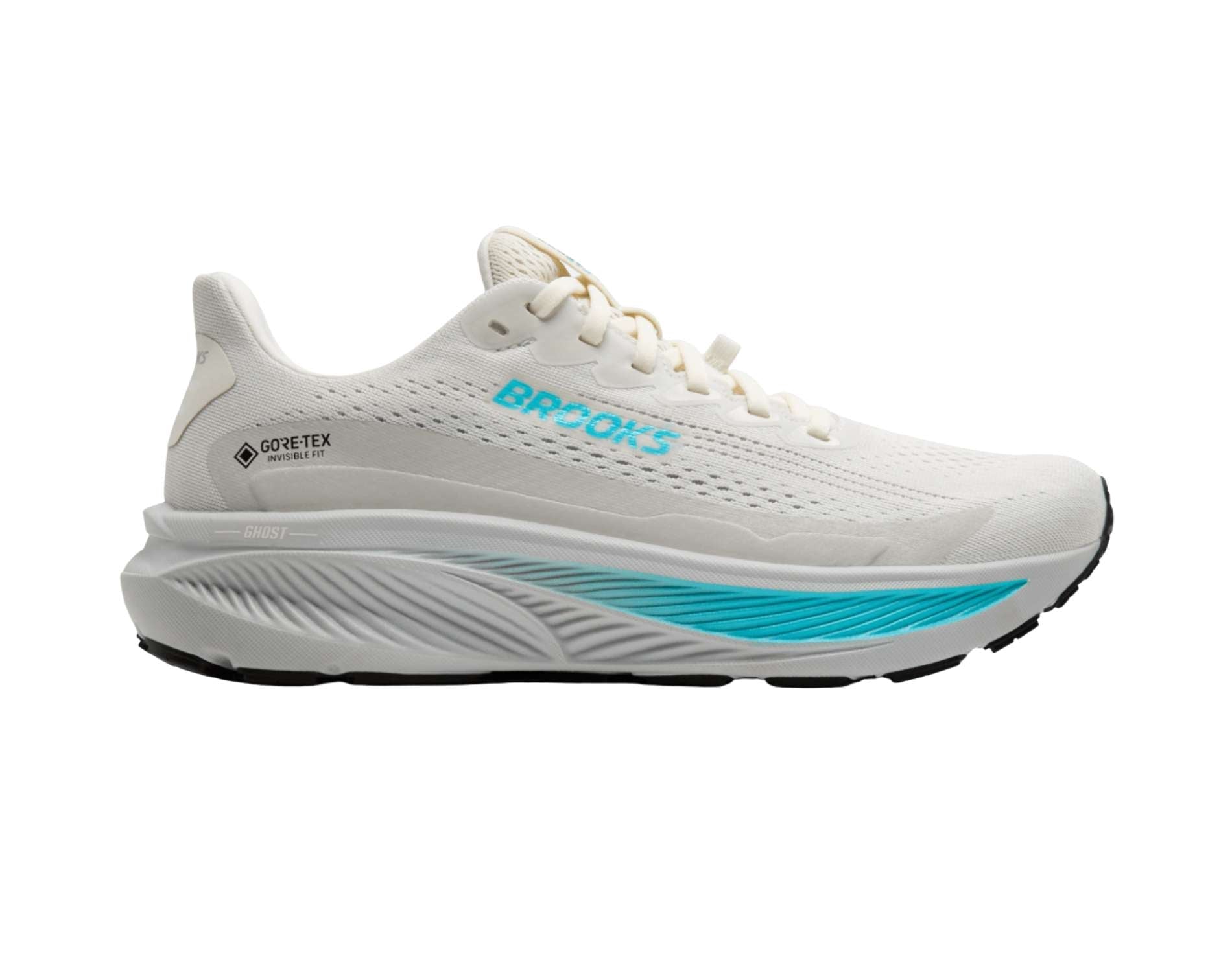 Brooks Ghost 17 GTX Womens Trail-Running Shoes