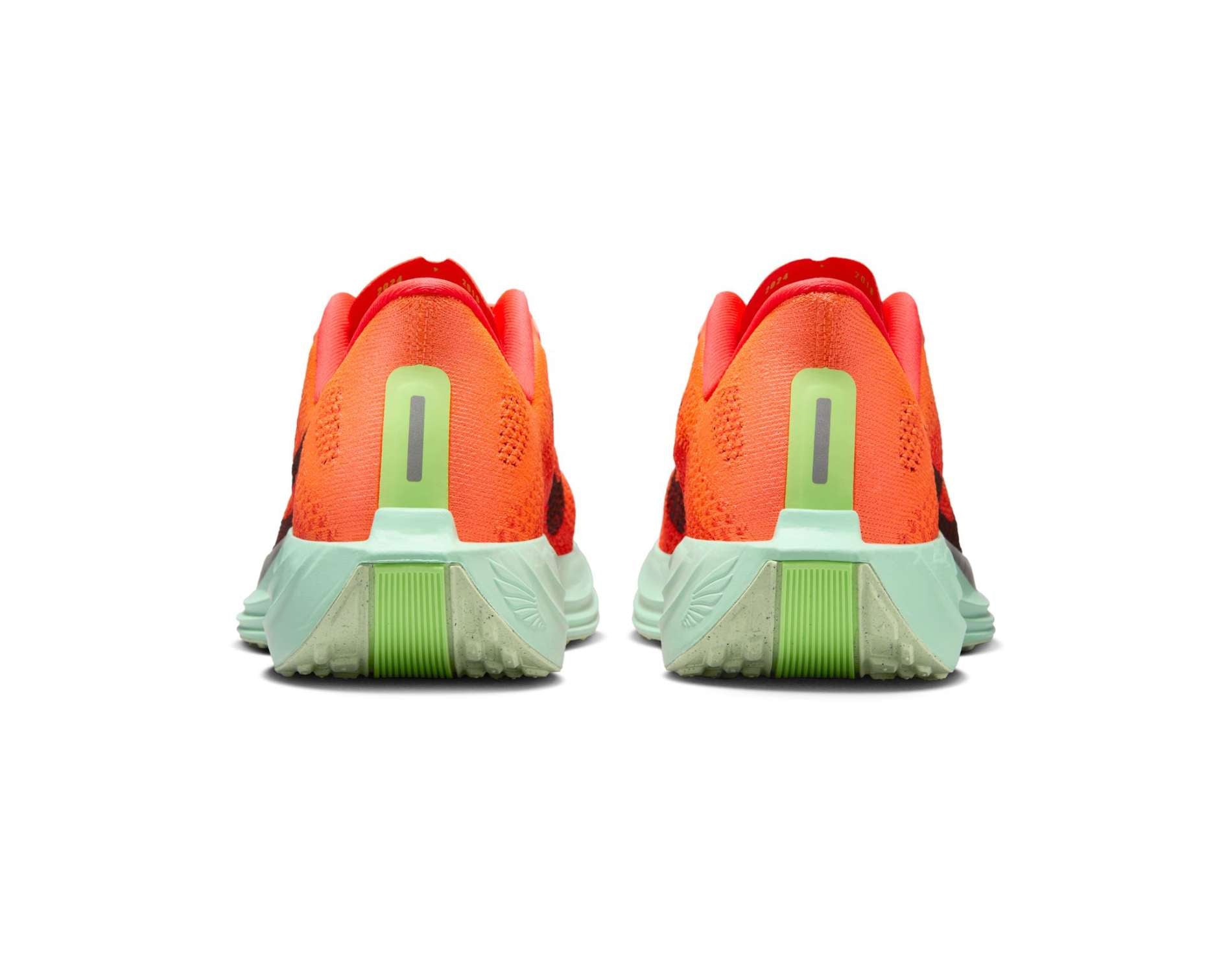 Scarpe da running da donna Nike Pegasus Plus